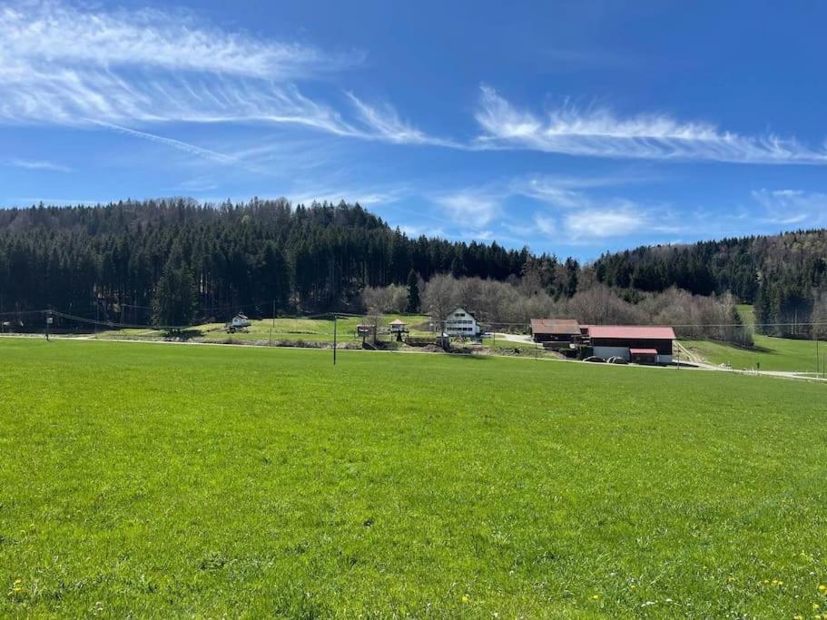 Idyllisches Ferienapartment Allgaeu Bad Grönenbach Esterno foto